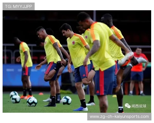 布莱顿锁定葡萄牙灵动核心，技术流体系继续深化