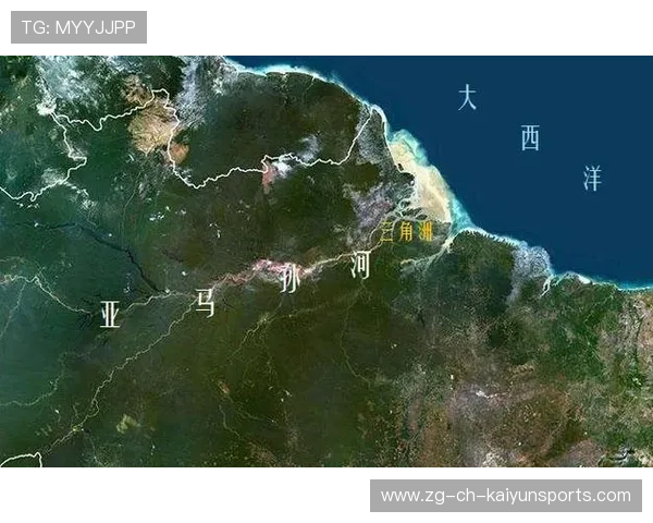 一张图带你看清 2026 年全球体育版权的新权力地图：谷歌、亚马逊入局。